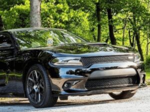 A shiny black sports car parked on a gravel path, surrounded by green trees and sunlight filtering through the leaves.