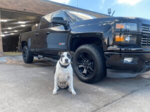 A black pickup truck is parked on a concrete surface in front of a brick building with an open garage. A spotted black and white dog is sitting on the ground near the truck’s front tire.